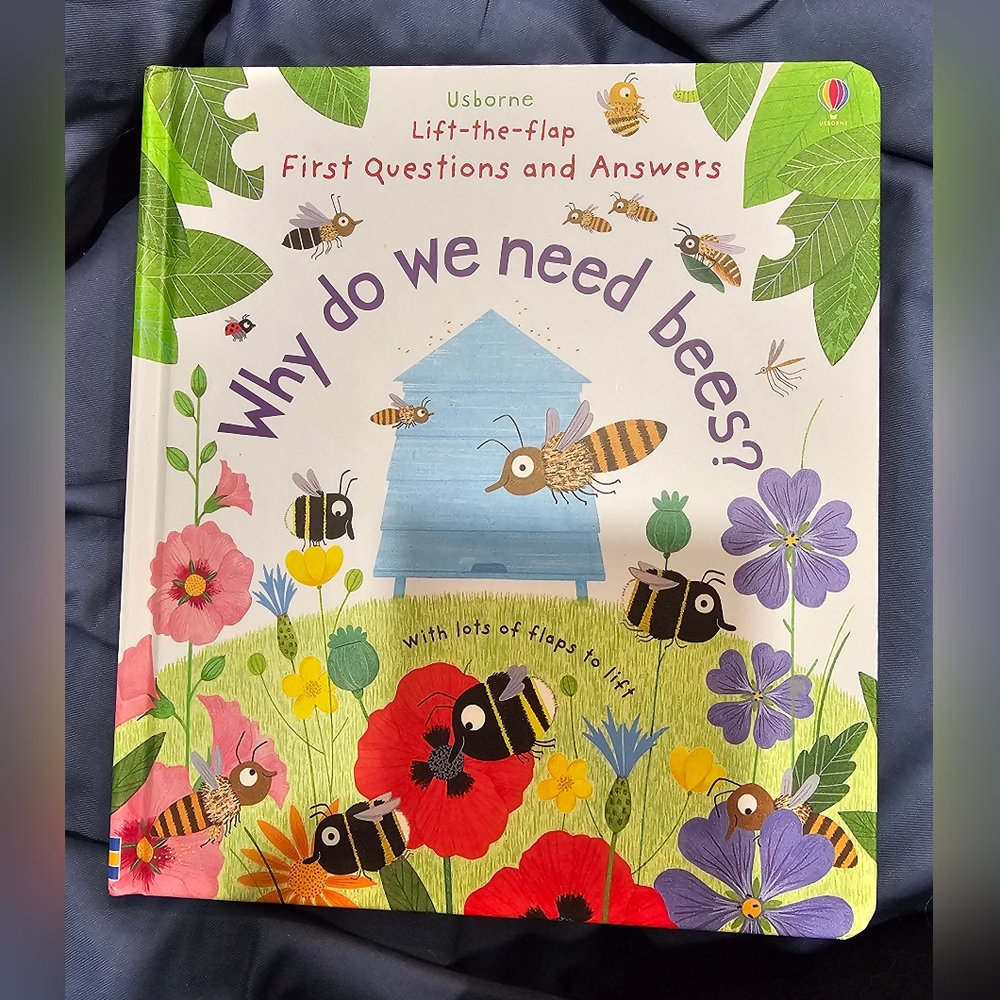 Usborne Lift-the-Flap Why Do We Need Bees? Children's Book